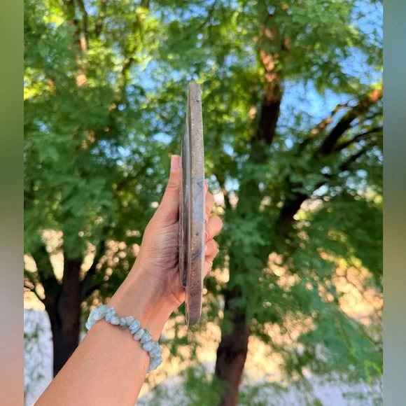 Ammonite Fossil from Morocco - Picture 4 of 6